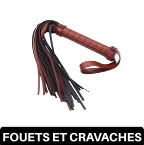 Fouets et cravaches